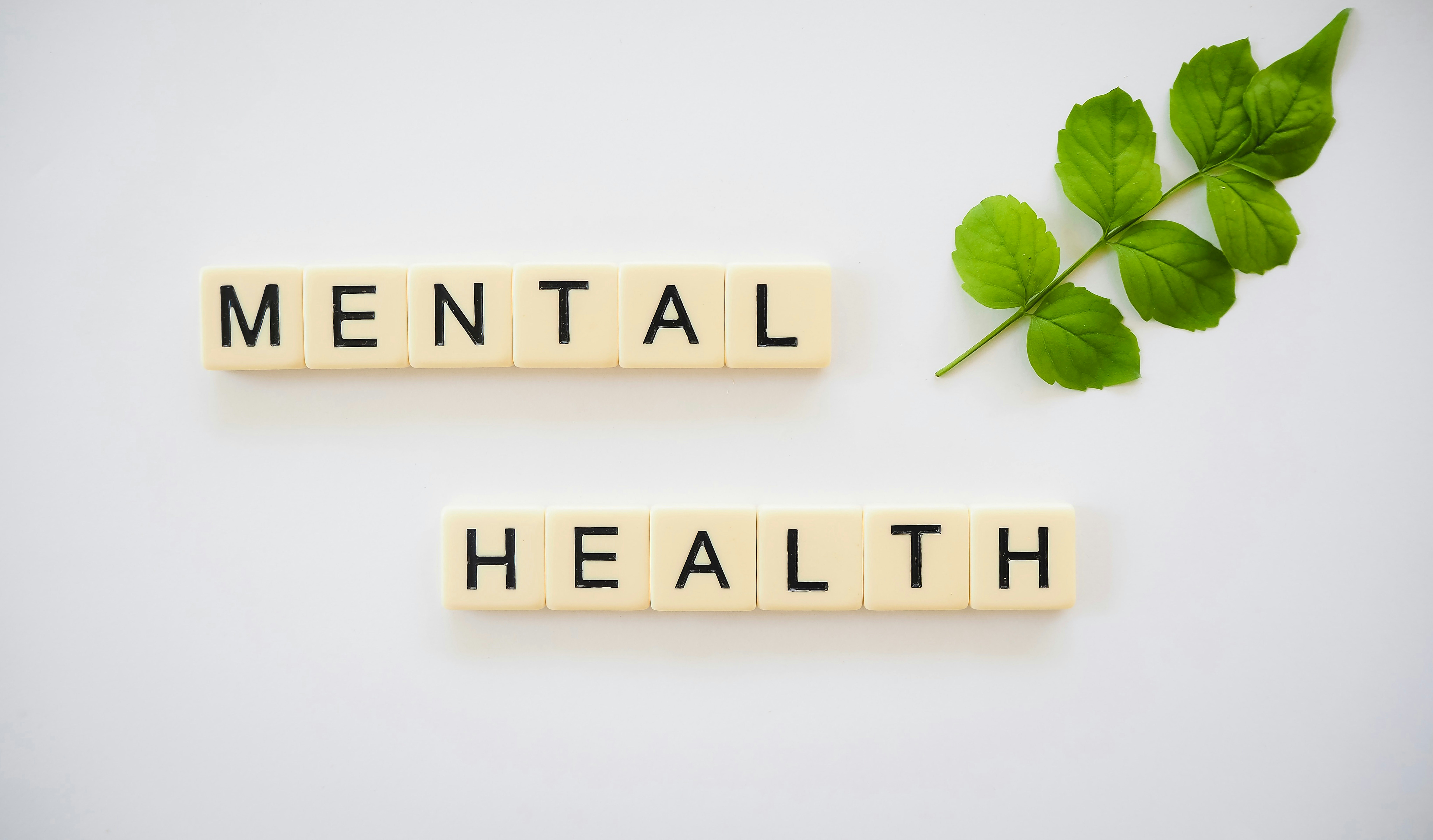 Mental health professional consultation